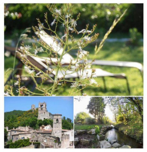 Hotels in Marsanne